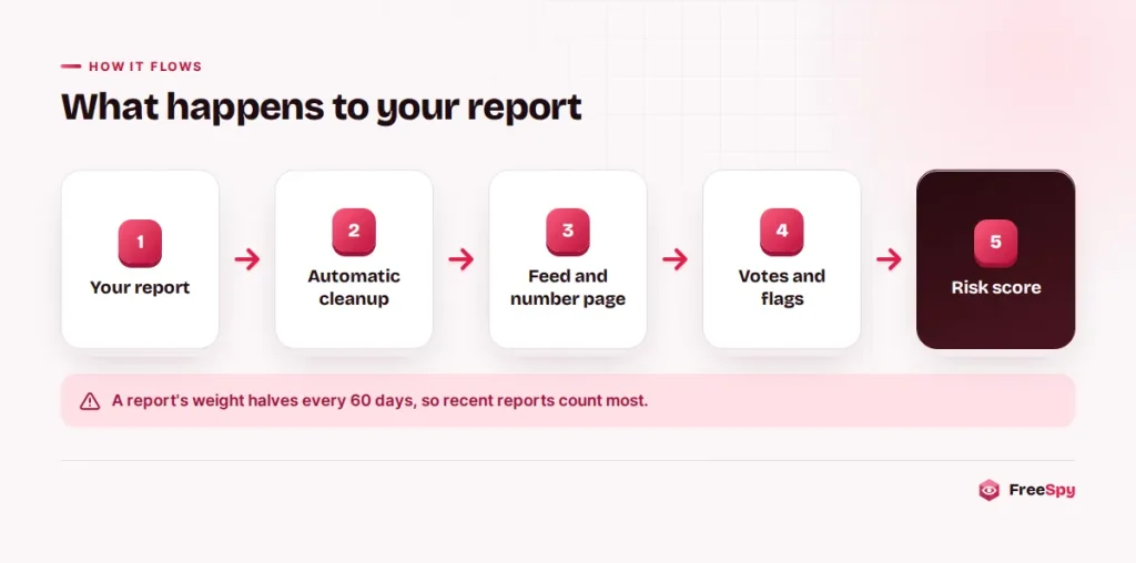 Diagram of what happens to a report from submission through cleanup, publishing, votes and the risk score