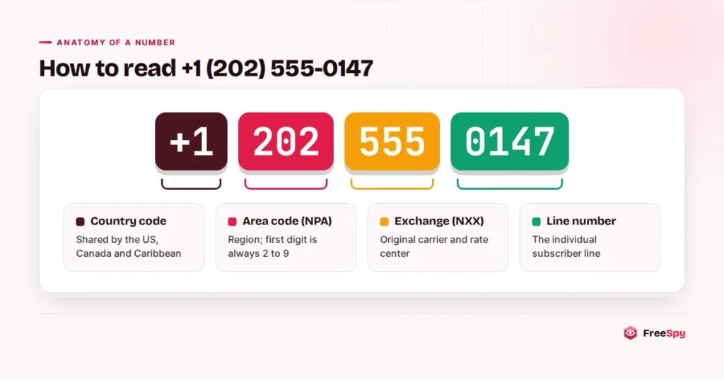 Breakdown of the number +1 (202) 555-0147 into country code, area code, exchange and line number